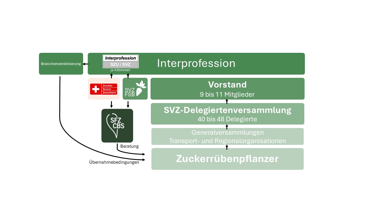 Organigramm SVZ Image